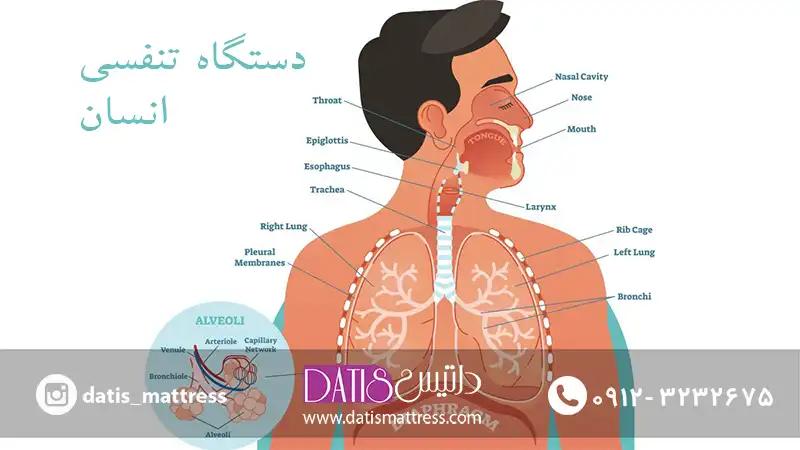 علت اصلی نفس کشیدن با صدای بلند در خواب شل شدن عضلات ناحیه فوقانی دستگاه تنفسی است